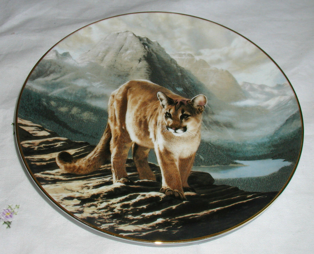 World's most magnificent cats collector plate